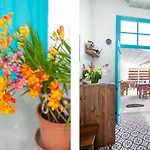 Bougainvillea Garden * Lefkoşa