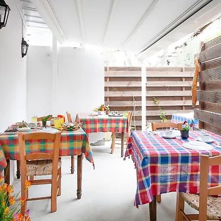 Bougainvillea Garden Homestay