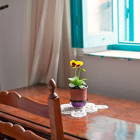 Bougainvillea Garden * Nicosia