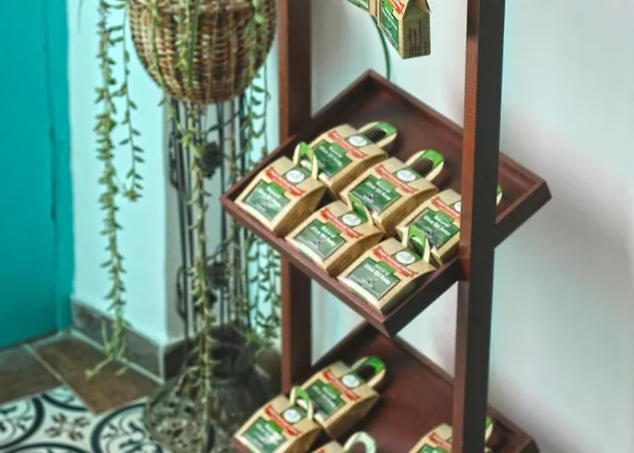 Bougainvillea Garden