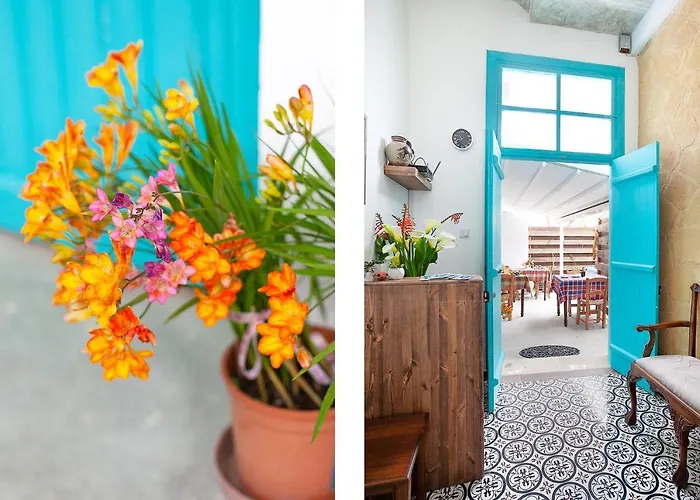 Bougainvillea Garden * Nicosia