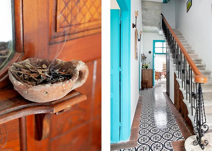 Bougainvillea Garden *