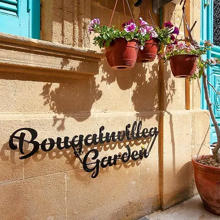 Bougainvillea Garden ニコシア